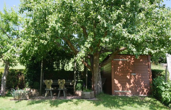 Ein großer Baum neben einem roten Gebäude mit zwei Stühlen im Schatten.