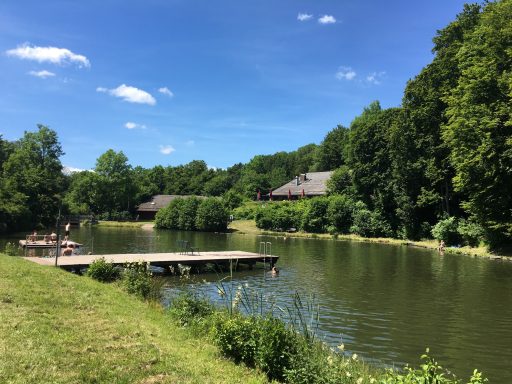 Idyllischer Teich umgeben von Bäumen und Häusern, mit einem Holzsteg.